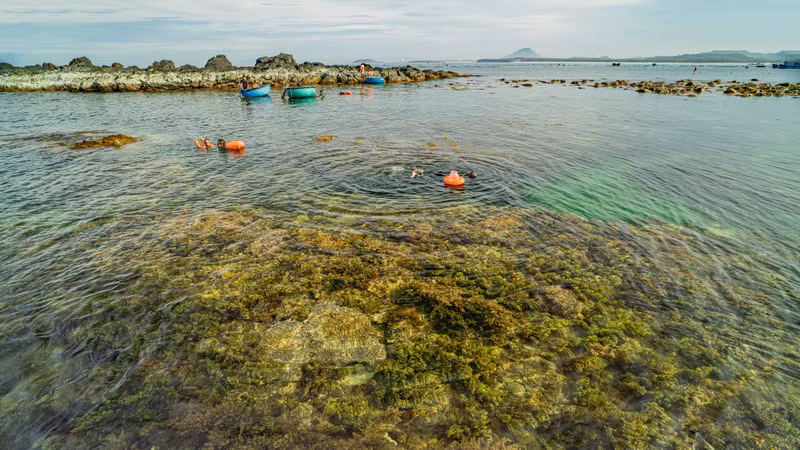 The unspoilt beauty of Hon Yen draws visitors to walk across the exposed reef flats and observe the coral formations up close.