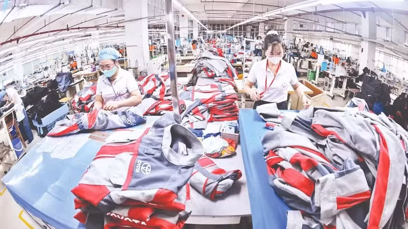 A garment export production line at Hung Viet Garment Joint Stock Company in Hung Yen Province. (Photo: Tran Hai)