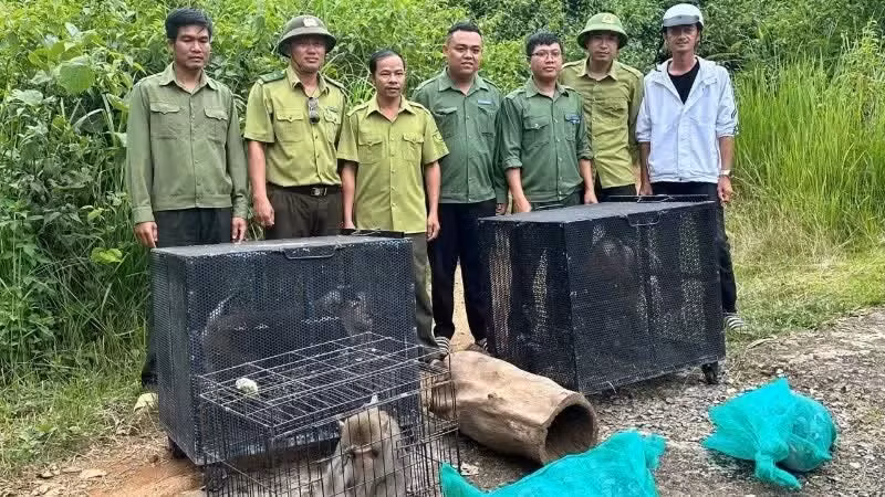 Protected wildlife are released back into their natural habitat at Chu Yang Sin National Park.
