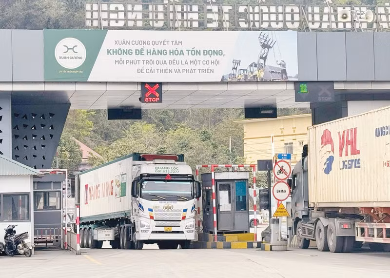 Viet Nam is promoting a range of important policies related to AI, digital logistics, and green logistics.