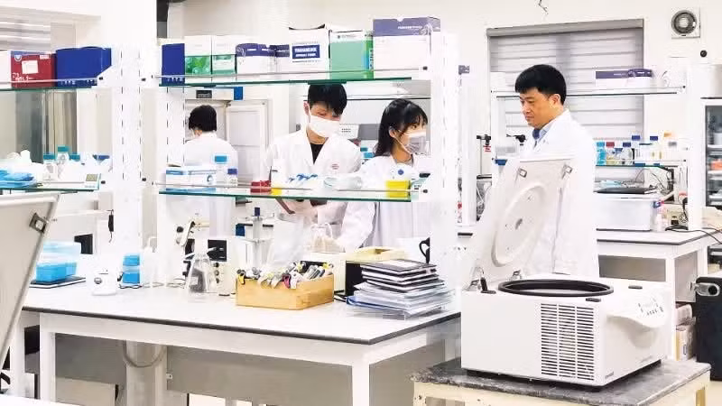Research into new biotechnology products at a laboratory of the Viet Nam Academy of Science and Technology. (Photo: Van Nga)