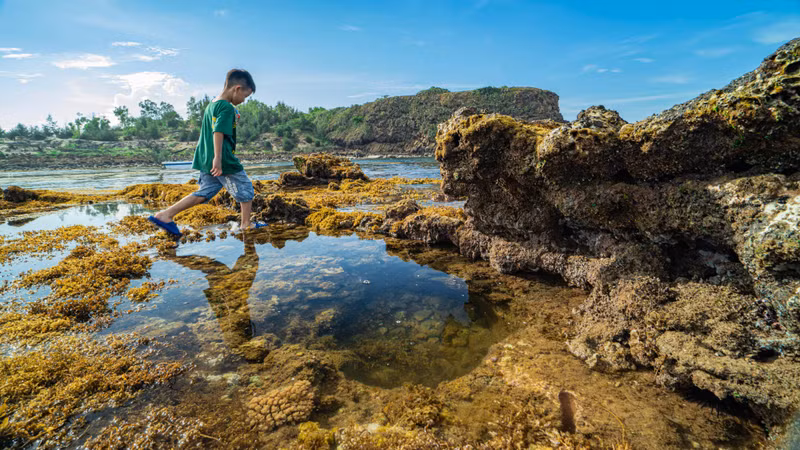 The crystal-clear tidal pools left behind make for striking photographic subjects.