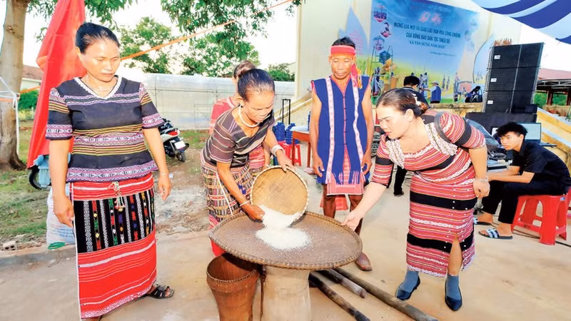 Members of the Xtieng ethnic group in Tan Hung Commune pound rice during the new rice festival.
