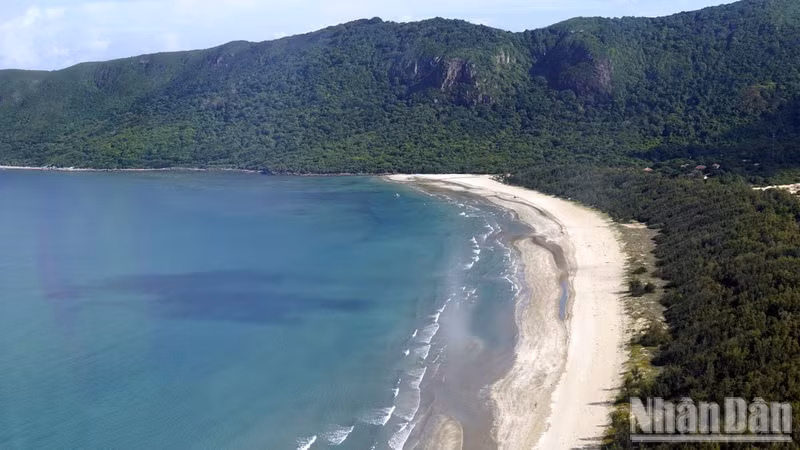 The sea and forests of Con Dao National Park. (Photo: Le Dinh Thin)