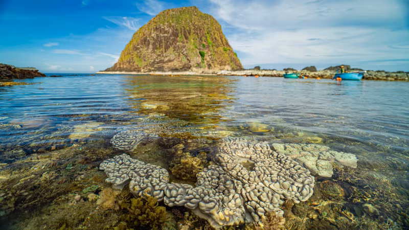 On the full moon and new moon of each lunar month, when the tide falls to its lowest, the multicoloured coral carpet comes into full view, with some sections lying just beneath the surface while others are fully exposed above the water.