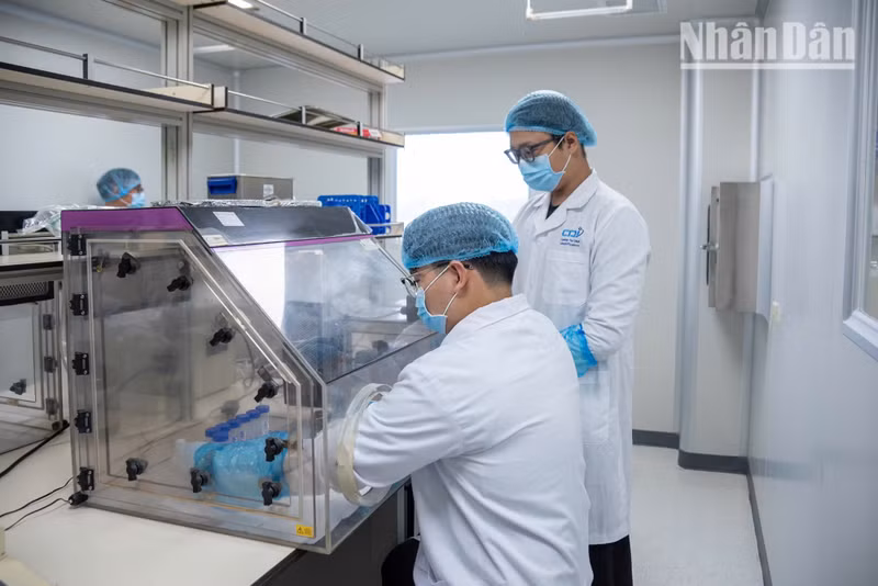 The entire grinding process is carried out in a dedicated sample preparation room and within a fully sterile fume hood.