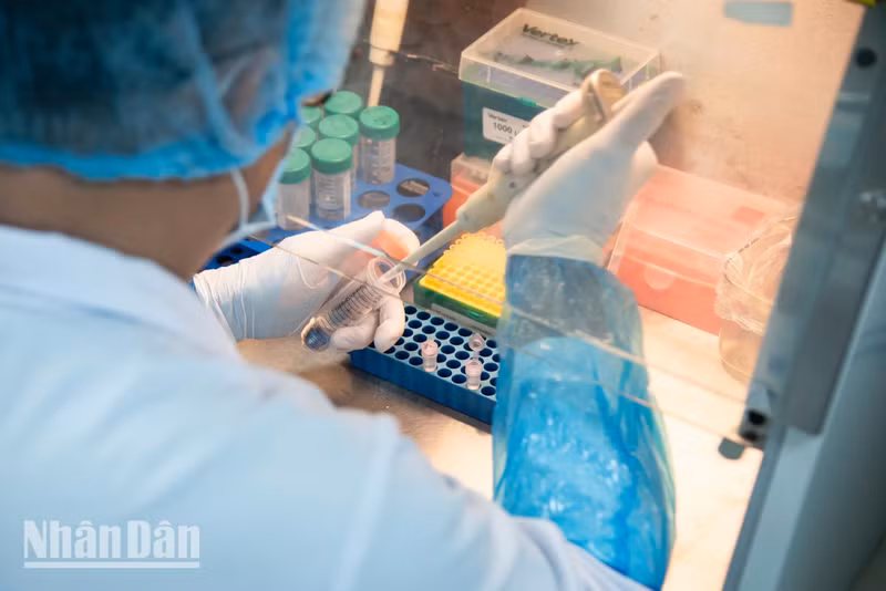 Using a new disposable pipette tip for every transfer is a mandatory procedure to eliminate any risk of cross-contamination between DNA samples.