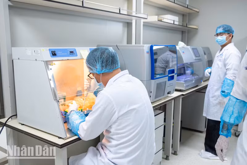 Using an automated pipette to transfer an extremely small volume of sample into a test tube is a fundamental technique that nevertheless demands exceptional precision to ensure the optimum amount of DNA is recovered.