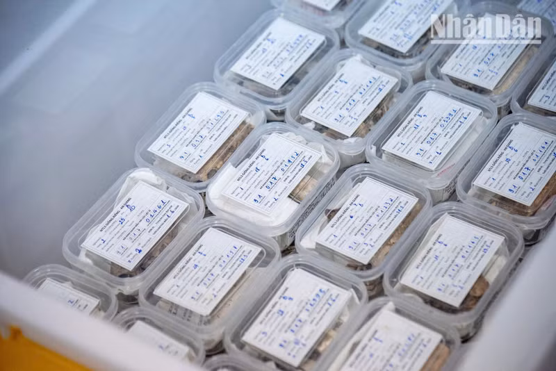 The tropical climate has had a significant impact on the integrity of the remains, severely degrading many of the excavated samples and presenting enormous challenges for the identification process.