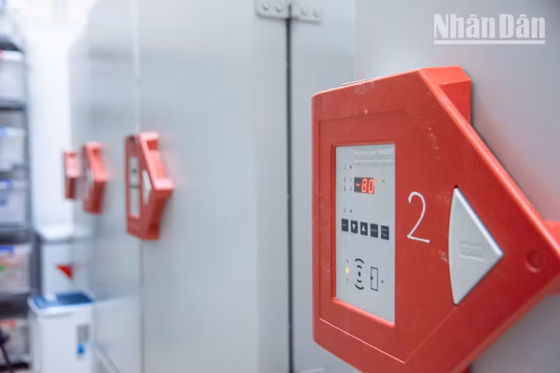 Inside the storage facility, ultra-low-temperature freezers operating at minus 80°C play a crucial role in the long-term preservation of sensitive genetic material as it prevents DNA degradation caused by the hot and humid tropical environment, thus ensuring the highest possible sample quality for subsequent sequencing.