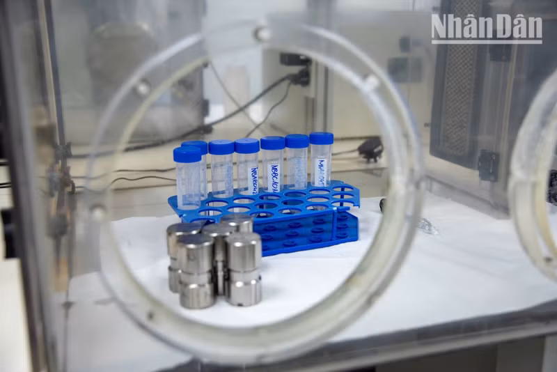 In a sterile environment, each tiny bone fragment is grounded into a fine powder using a specialist metal mortar, preparing it for DNA extraction.