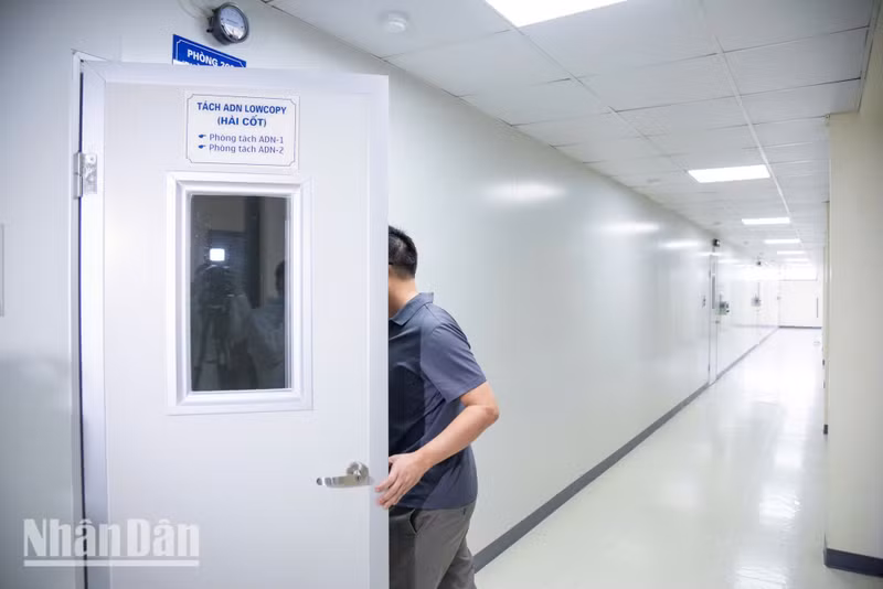 Experts say that DNA extraction is the most critical stage in the six-step process, as accurate sequencing can only proceed once a sufficient quantity of high-purity DNA has been obtained.
