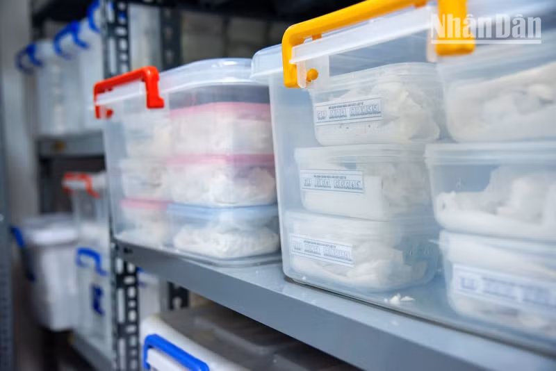 Unlike conventional storage, thousands of bone samples are carefully cleaned and packed in transparent specialist plastic containers, then systematically arranged on shelving units, enabling experts to monitor and preserve them under strict conditions before analysis.
