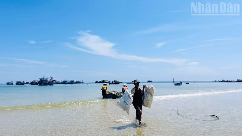 Local fishermen harvest marine resources in an area with many shipwrecks.