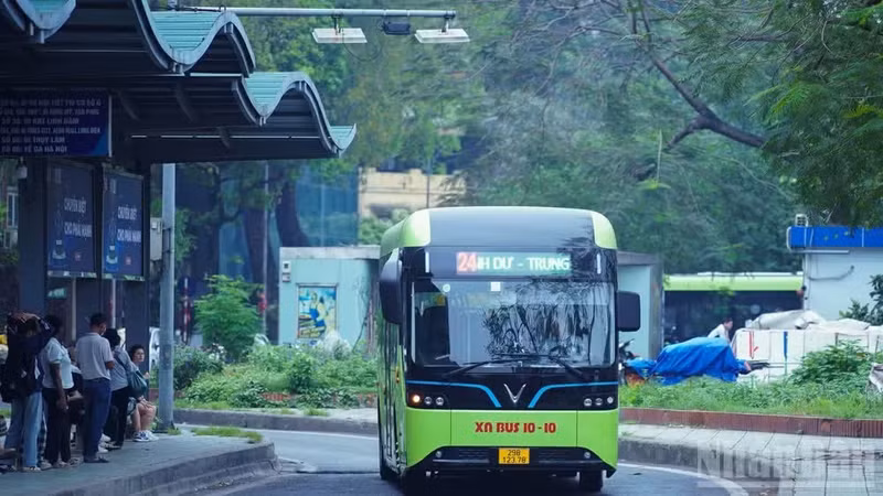 Electric buses are gradually replacing their fossil-fuel-powered counterparts.