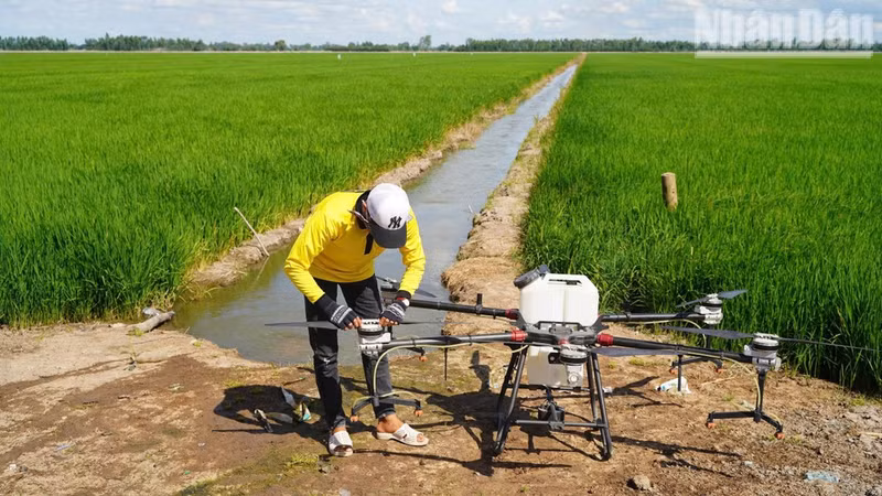 The use of UAVs in agricultural production is among the five priority areas included in Da Nang’s pilot plan. (Photo: Mai Huyen-Thien Phuong)