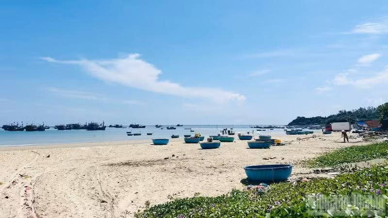 The fishing village of Chau Thuan Bien retains a wild and mysterious charm.