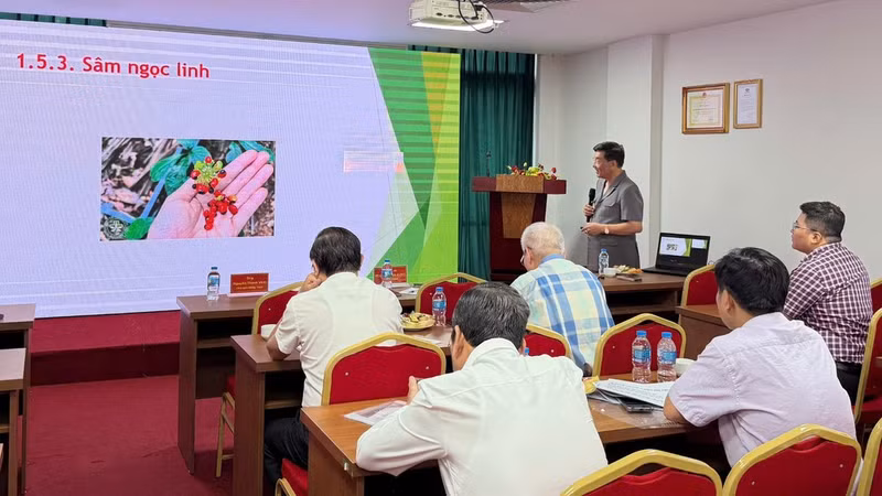 The seminar discusses unlocking Viet Nam’s potential in medicinal herbs. (Photo: Hoang Mai)