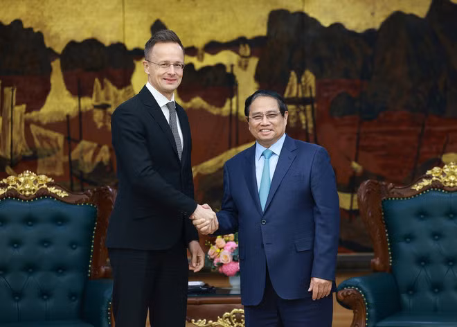 Vietnam treasures comprehensive partnership with Hungary: PM ảnh 1