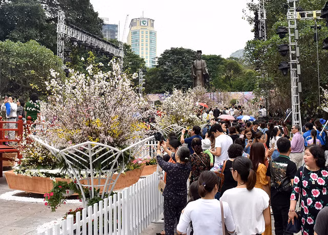 2019 Japanese cherry blossom festival opens in Hanoi ảnh 3