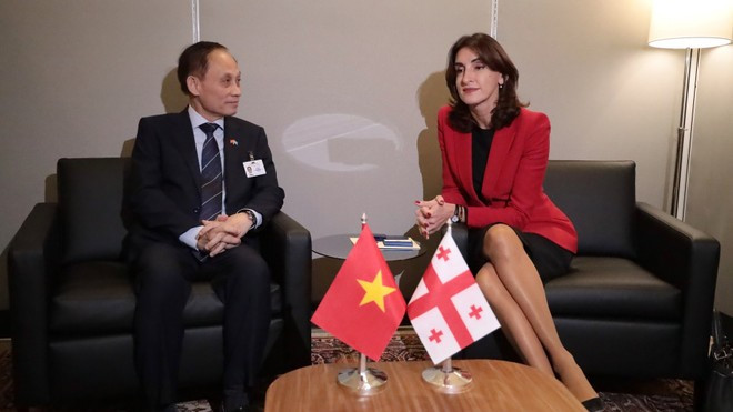Acting Foreign Minister Le Hoai Trung (L) meets with Foreign Ministers of Georgia Maka Botchorishvili (Photo: VNA) Acting Foreign Minister Le Hoai Trung (L) meets with Foreign Ministers of Georgia Maka Botchorishvili (Photo: VNA)