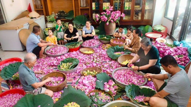 Removing lotus petals to collect the stamens used for tea scenting. z7163711751152-ce5b1bb95bcfd9640e6063f4bc65dbfd-417.jpg
