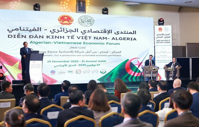 Vietnamese Prime Minister Pham Minh Chinh speaks at the Viet Nam – Algeria economic forum in Algiers on November 19. (Photo: VNA)