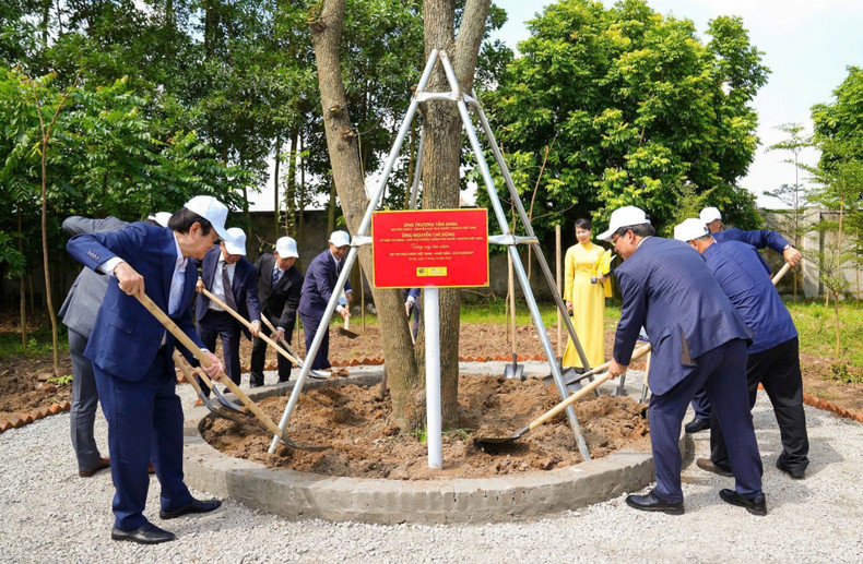 Former State President Truong Tan Sang planted a souvenir tree at the HANSSIP campus. (Photo: NDO) 4191900039697843482.jpg