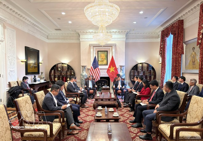 Nguyen Duy Ngoc (the third from the top, right) Politburo member and deputy head of the Central Steering Committee for the Development of Science, Technology, Innovation and Digital Transformation, chairs a working session with representatives from Meta Platforms (Photo: VNA)