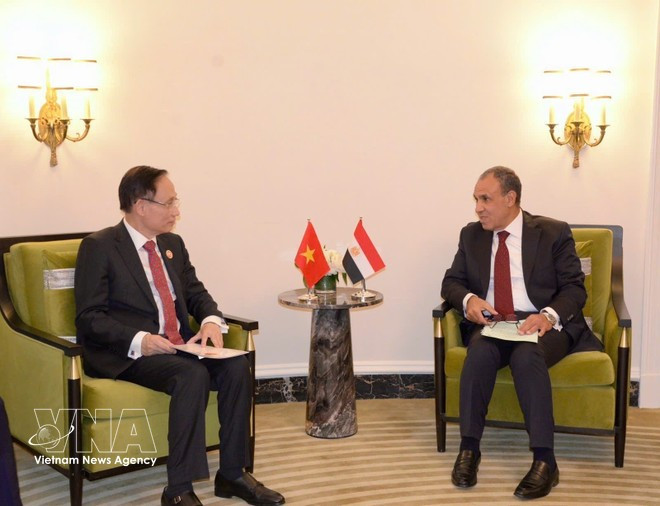 Foreign Minister Le Hoai Trung meets with Egyptian Foreign Minister Badr Abdelatty. (Photo published by VNA)