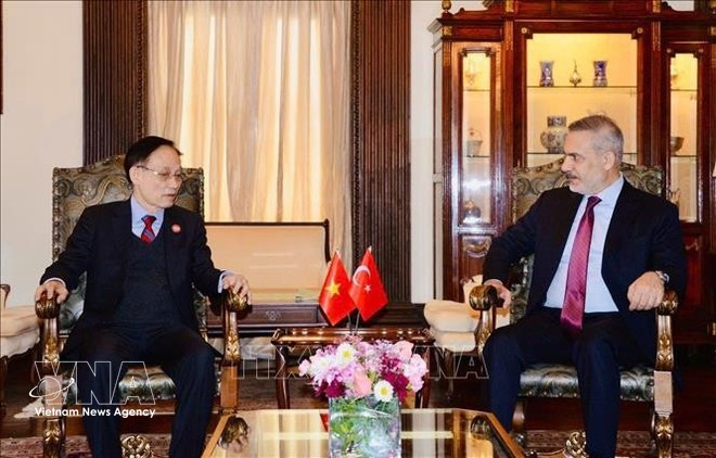 Foreign Minister Le Hoai Trung meets with Turkish Foreign Minister Hakan Fidan. (Photo published by VNA)