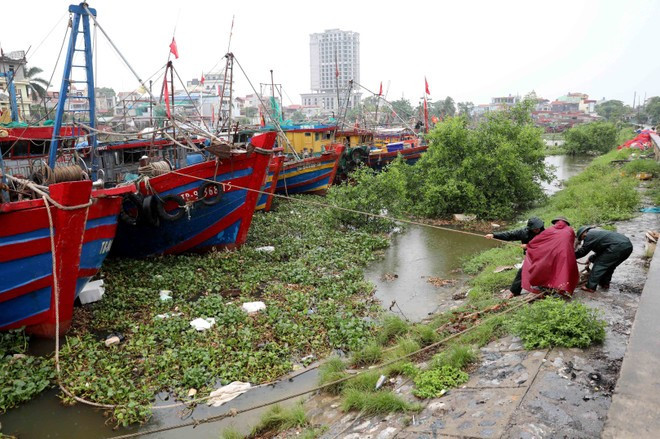 Storm preparedness measures are underway in Hung Yen (Photo: VNA) Storm preparedness measures are underway in Hung Yen (Photo: VNA)