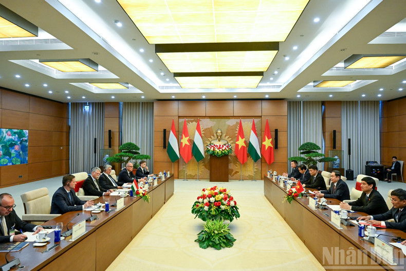 The talks between National Assembly Chairman Tran Thanh Man and Speaker of the Hungarian National Assembly Kover Laszlo in Ha Noi on October 20, 2025. (Photo: Duy Linh) bnd-1663.jpg