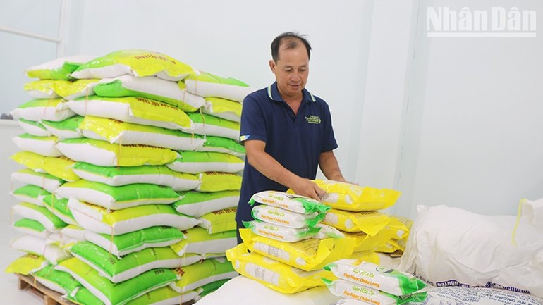 “Hat Ngoc Chau Long” rice, a 4-star OCOP product of the Chau Hung Agricultural, Commercial and Service Cooperative in Hung My Commune. ndo-tr-chau-long.jpg