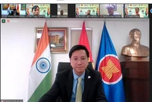 Vietnamese Ambassador Nguyen Thanh Hai speaks at the conference (Photo: VNA)