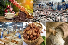 Agro-forestry-fishery exports reach 3.7 bln USD in January (Photo: VNA) 