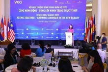 Vice President Vo Thi Anh Xuan speaks at the summit (Photo: VNA)