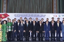 President Nguyen Xuan Phuc (sixth from right) and delegates at the meeting. (Photo: VNA)