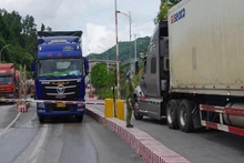 Functional forces are guiding trucks carrying agricultural products for exports through Huu Nghi international border gate. 