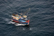 A fishing vessel of Vietnam (Photo: VNA)