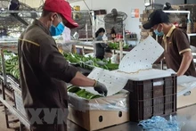 Packaging bananas for export in Ba Ria-Vung Tau. (Photo: VNA)