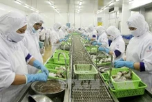 Workers of Quoc Viet Seafood Processing and Trading Company Limited in the southernmost province of Ca Mau process shrimp for export. (Photo: VNA)