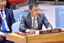 Ambassador Dang Hoang Giang, Vietnam's Permanent Representative to the United Nations (Photo: VNA)