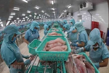 Last year, two-way trade between Vietnam and the US surpassed 123 billion USD, up 11% year on year. (Photo: VNA) 