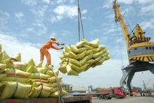 Illustrative image (Photo: VNA)