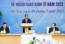 In pictures: Government implements action programme to enhance economic diplomacy