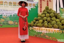 Vietnamese durians are introduced at the festival. (Photo: NDO)