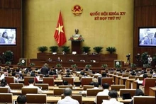 At the meeting (Photo: VNA)