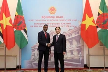 Vietnamese Minister of Foreign Affairs Bui Thanh Son (R) and Dominican Minister for Foreign Affairs, International Business, Trade and Energy Vince Henderson at their meeting in Hanoi on March 20. (Photo: VNA)