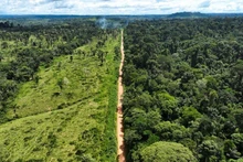 A forest in Brazil. (Photo: Reuters)